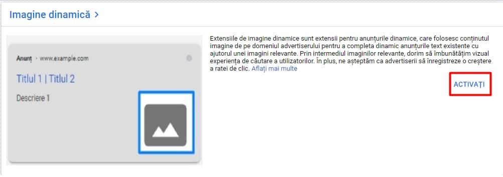 Activare extensie Imagine Dinamica Google Ads