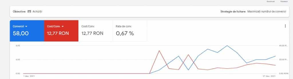 Rezultate Campanii Google Ads