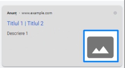 Extensie Imagine Google Ads